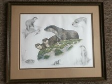 Nicely Framed Signed Print Depicting Otters by Nigel Hemming
