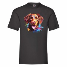 Chesapeake Bay Retriever T