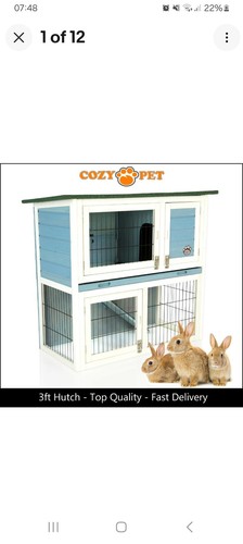 Rabbit hutch 3ft - hutch,