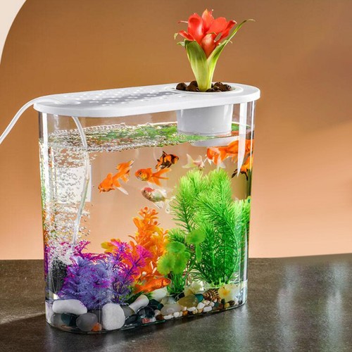 Mini fish tank clear - fish,
