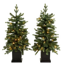 Habitat christmas trees pack - christmas,