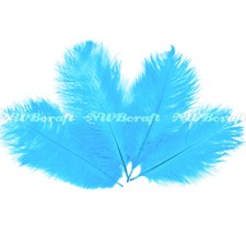 Aqua/Turquoise Natural Genuine Ostrich Feather Fluffy Costume Craft Party Decor