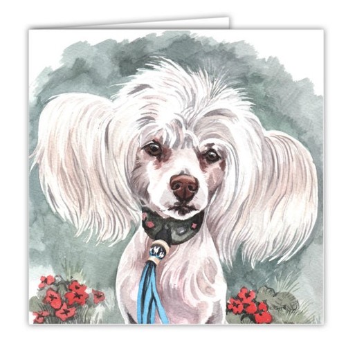 Chinese crested card 6 - crested,