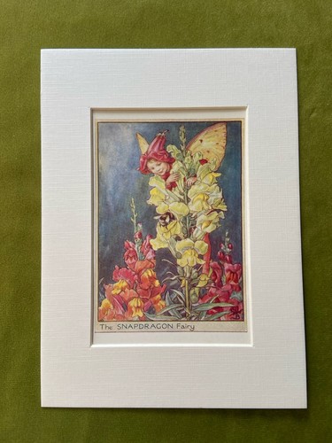 Snapdragon flower fairy - flower,