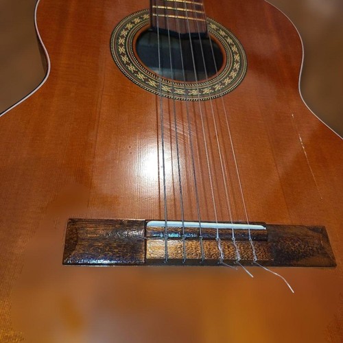 Calace guitar nagoya - calace,