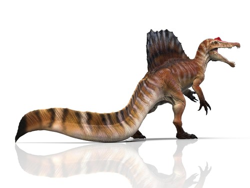Large realistic - 18",