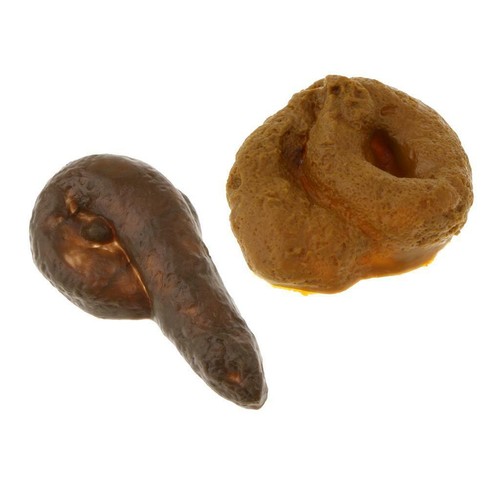 Simulation dog real - simulation, poop