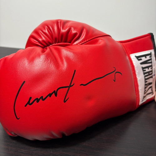 Lennox lewis world - world, heavyweight