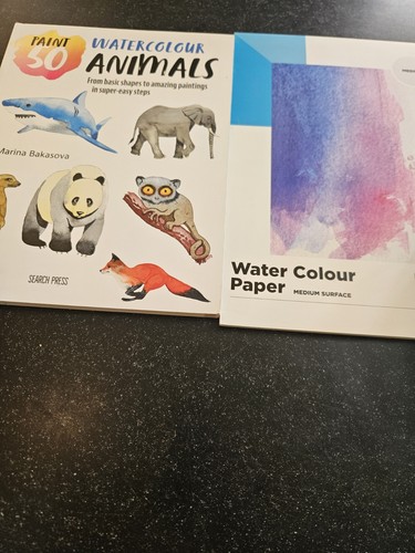 Reeves water colour paper - colour,
