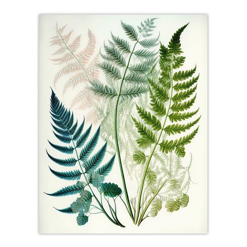 Elegant fern fronds - elegant,