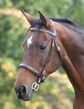 Shires Blenheim Fancy Stitched