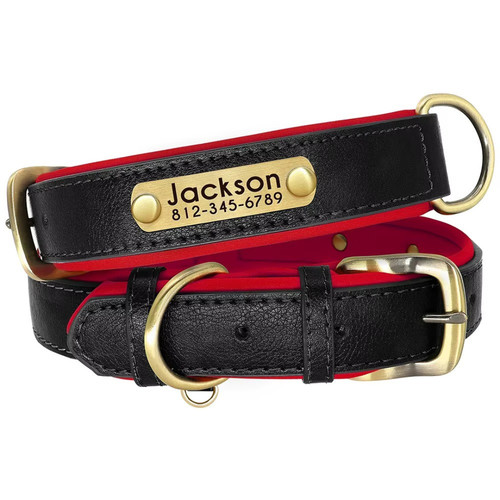 Customized leather dog - leather, collar