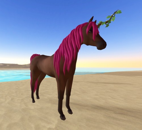 Wild horse islands - wild, horn