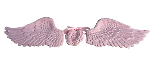 One pair chic angel wings - pair,