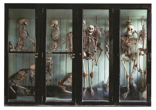 Postcard norman shaw - postcard,