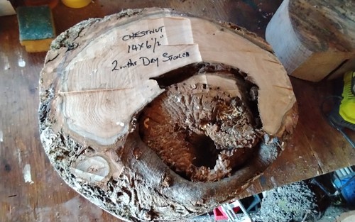 Large chestnut bowl blank - bowl,
