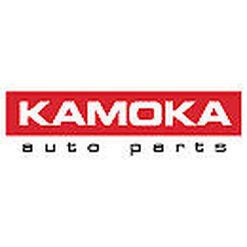 Kamoka rw047 belt pulley - kamoka,