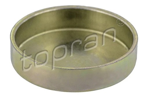 Frost plug fits passat - plug, vw