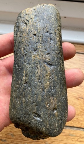 Fossilised whale bone with - bone,