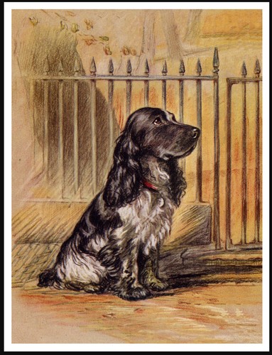 Cocker spaniel gate - at, art