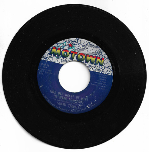 Tammi terrell this - terrell, old