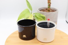 LENI SET insert + indicator +