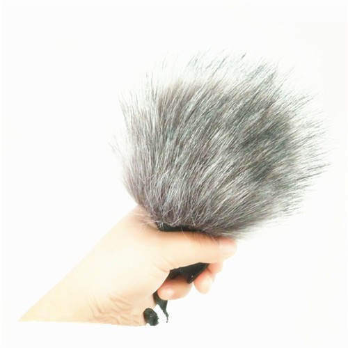 Zoom anti wind - zoom, h1