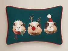 George Christmas Guinea Pig