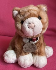 Keel “Ginger” Tabby Cat