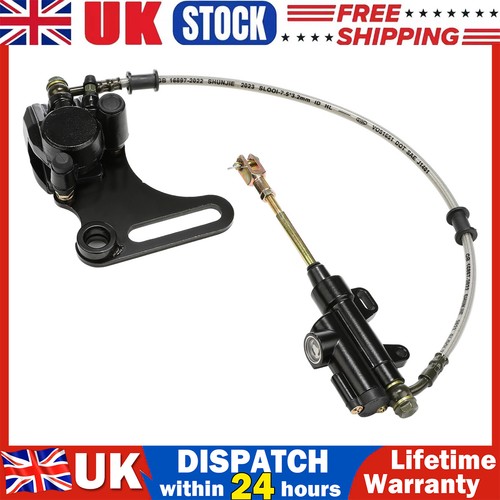 Rear foot brake - brake, disc