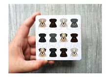 Cesky Terrier Coaster, Novelty