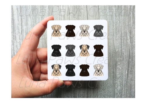 Cesky terrier coaster novelty - terrier,