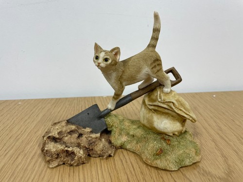 Sherratt simpson cat - cat, on