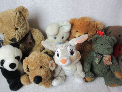 Collection assorted teddy - collection, of