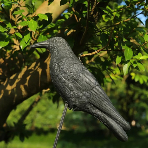 Black crow ornament simulated - black,