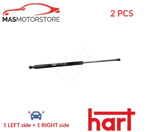 Tailgate boot struts set - struts, rear
