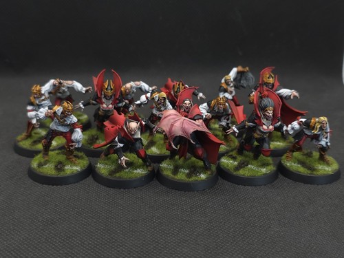 Blood bowl vampire - vampire, team