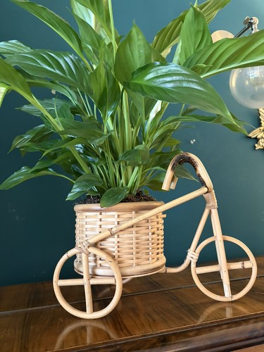 Vintage cane bamboo tricycle - cane,