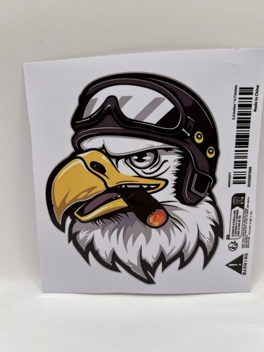 Bald eagle american flag - bald,