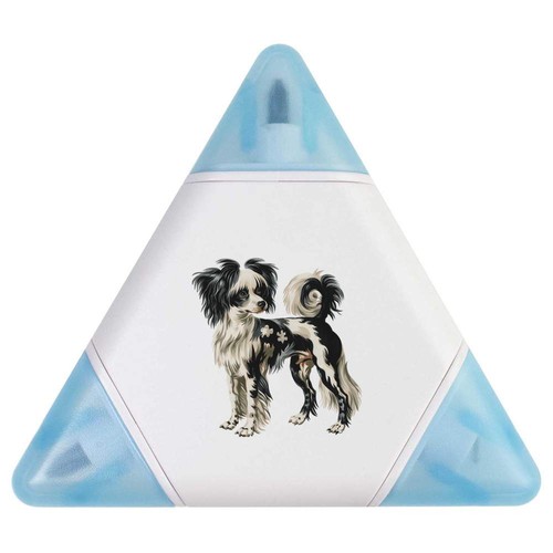 Chinese crested dog compact - dog',