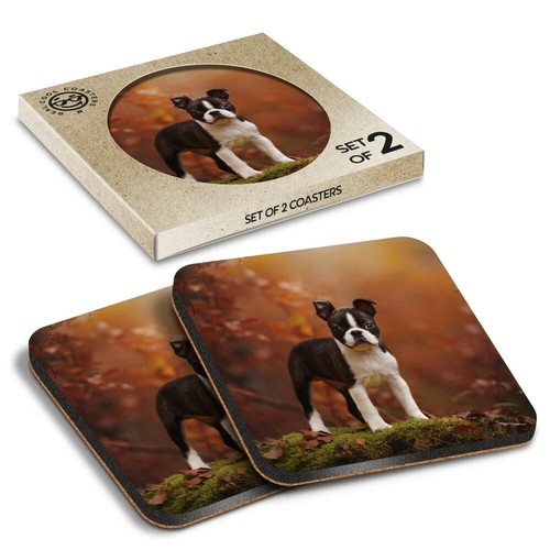 Boxed square coasters - 2,