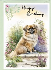 Tibetan Spaniel Dog (4"x 6")