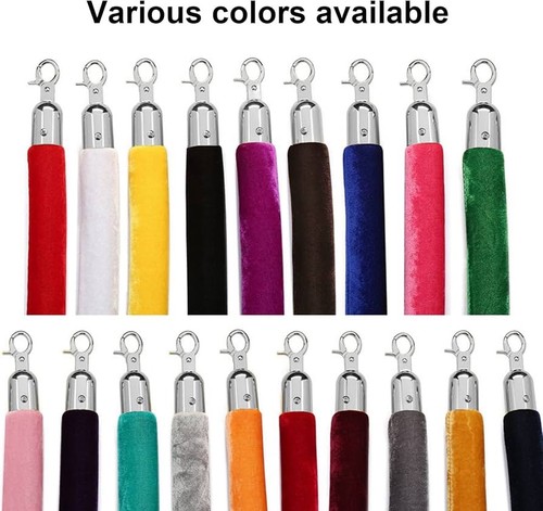 Stanchion rope crowd - crowd, control