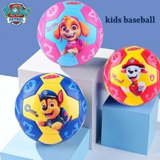 Paw Patrol Small Ball for