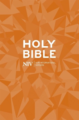 Niv popular bible new - popular, (new