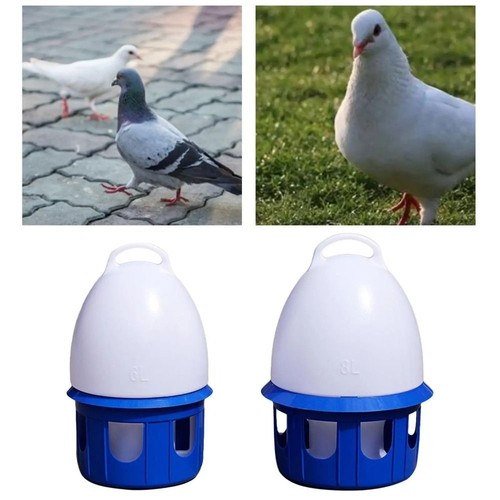 Automatic bird pigeons - automatic,