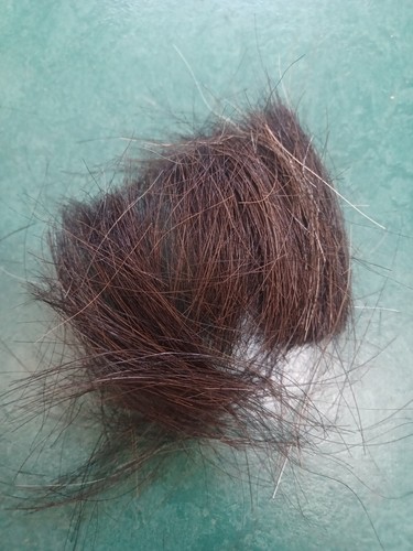 5kg cut horse hair for - cut,