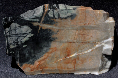 S851 3oz slab of - s851, picasso