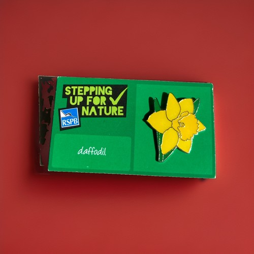 Rspb pin badge - , on