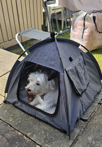 New pet tent - new,